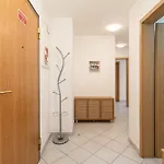 New - Casinha * פורטימאו