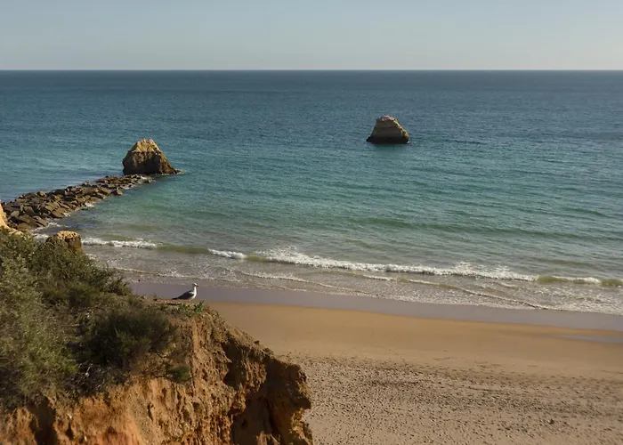 Apartment New - Casinha Portimao